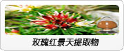 银杏叶提取物