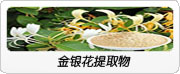 玫瑰红景天提取物